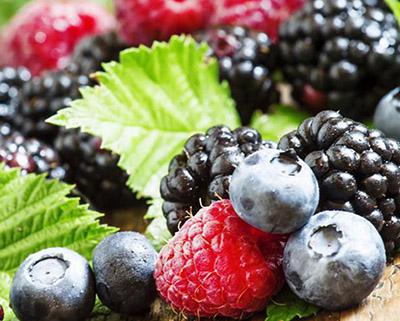 蓝莓、树莓、草莓饮料生产线