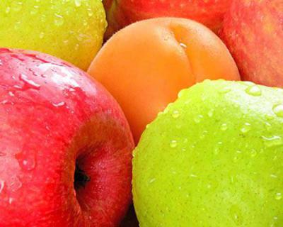 苹果、梨加工生产线